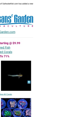 🐠 $9.99 Sale To Start! Fish & Coral @ Oceansgarden.com