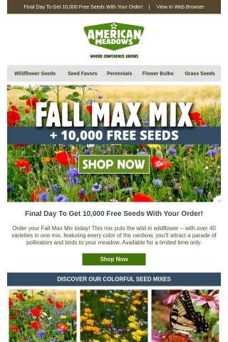 Don't Miss Out - Get Your Fall Max Mix Now