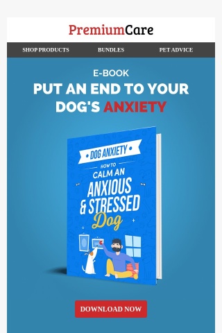 How to calm an anxious and stressed dog
