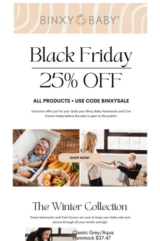 Secret Black Friday! 25% off just for subscribers!