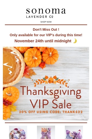 VIP Thanksgiving Sale!! 🦃