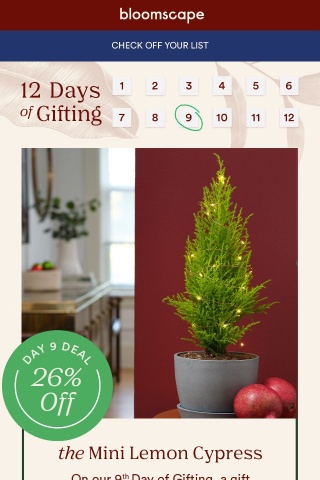 Limited Time Only: Green Gifts Up to 25% Off