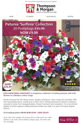 20 Best-Selling Petunia Surfinia NOW £9.99