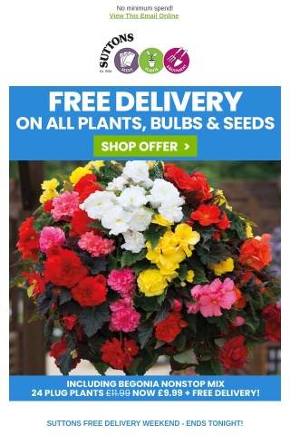 HURRY... FREE DELIVERY ENDS TONIGHT!