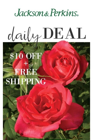 Today Only: $10 OFF + Free Shipping? Yes Please!