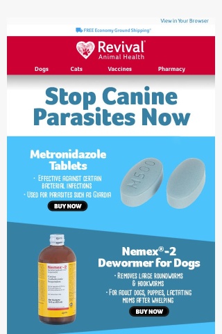 Dr. Greer’s Suggestions to Help Fight Dog Parasites