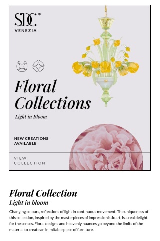 Floral Collection - Light in Bloom