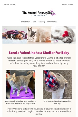 ❤️🎁 Give the Gift of Love to Shelter Pets this Valentine's Day