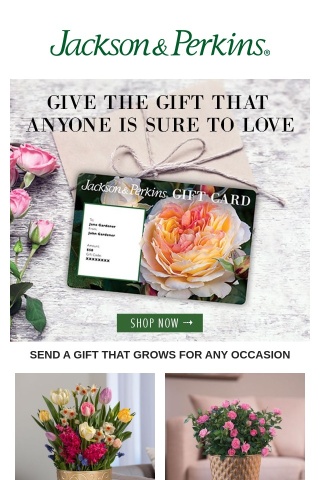 The JP Gift Card is Perfect for Your Valentine's!
