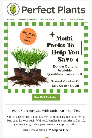 Huge Savings With Multi-Pack Bundles for Spring!