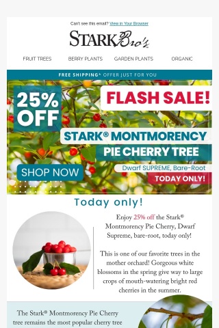 ⚡🍒 FLASH SALE! Stark Montmorency Pie Cherry 25% Today Only!