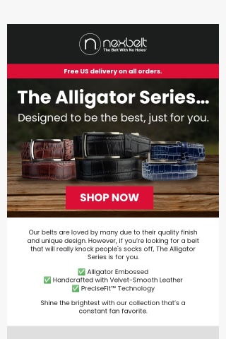 Meet The Alligator Series 🐊
