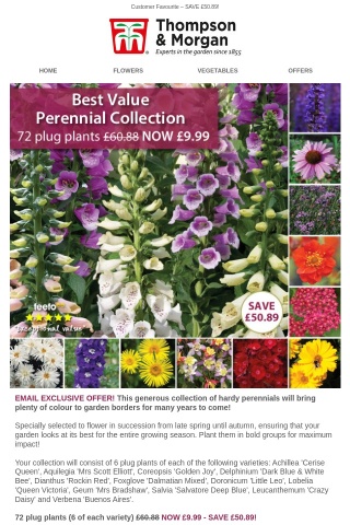 48 HOURS ONLY! 72 Perennials for £9.99