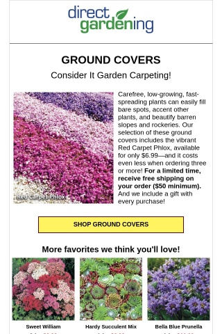 Great ground covers at affordable prices!
