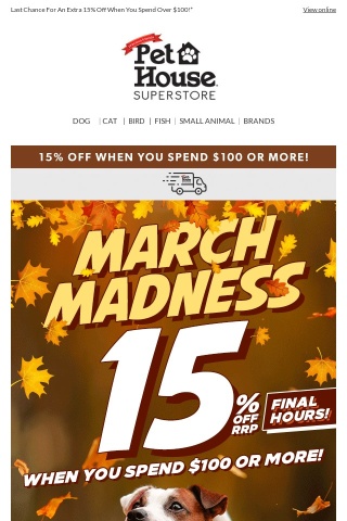 FINAL HOURS March Madness!