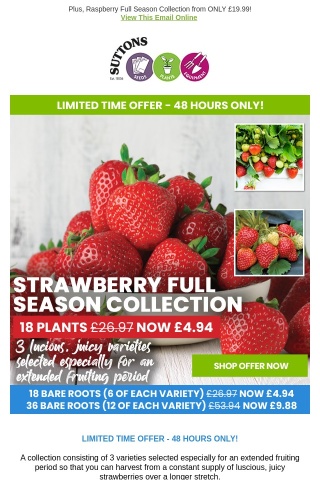 18 Grow Your Own Strawberries NOW £4.94!