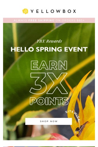 Hello Spring 🌷 TRIPLE POINTS Event: Earn faster, get more $$$