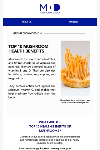 Top 10 Mushroom Health Benefits (#10 Might Surprise You)