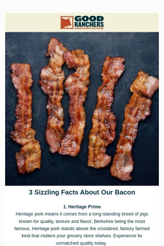 3 Sizzling Bacon Facts You Need To Know 🥓