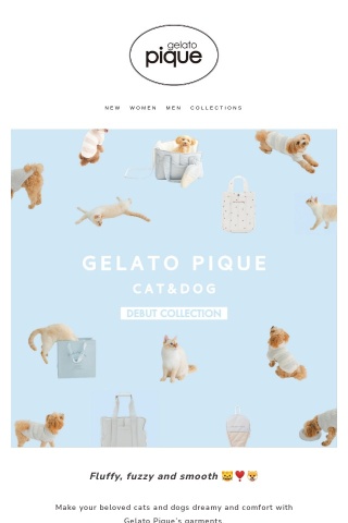 Gelato Pique Cat🐈&Dog🐕 Debut Collection🎉