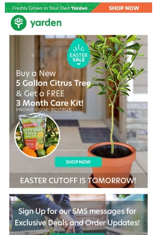 Easter Sale - Buy a New 5 Gallon Citrus Tree and Get a FREE 3 Month Care Kit!