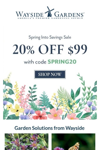 Spring Brings Savings! 20% OFF coupon code inside ➡