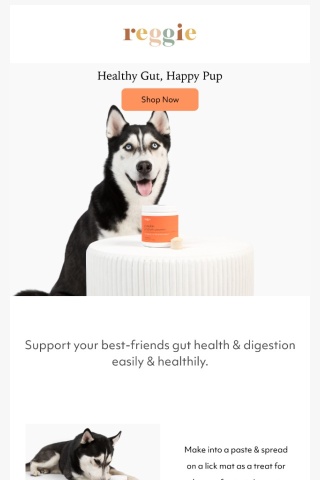 Healthy gut, happy pup