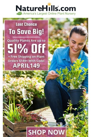🌸HALF PRICE plants and FREE SHIPPING ends today🌸