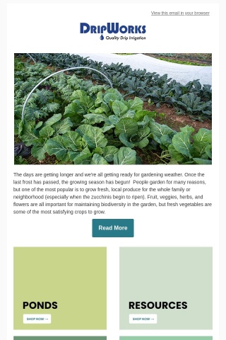 Top Ten Vegetables for Your Garden 2023