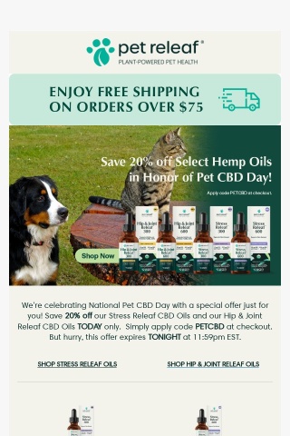 Special Offer! Save 20% off Select CBD Oils