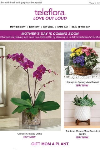 $15 off All Flowers + Plants, Mom Approved! ✔️