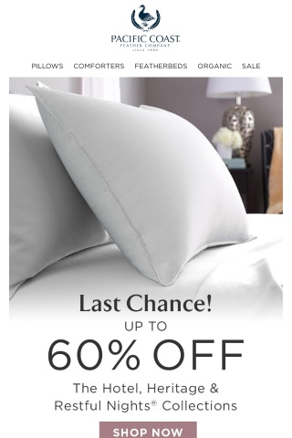 Lofty Featherbeds, Cozy Comforters  & More Are up to 60% OFF.