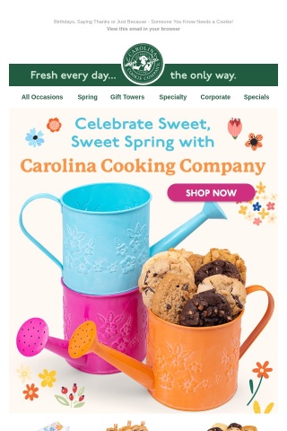Send Sweet Treats in Cute Spring Containers