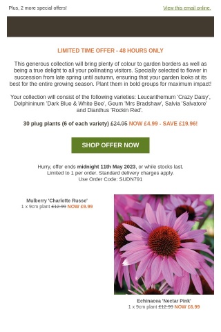 30 Summer Perennials ONLY £4.99