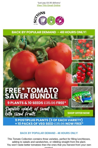FREE Tomato Plants & Seed Bundle - worth £35