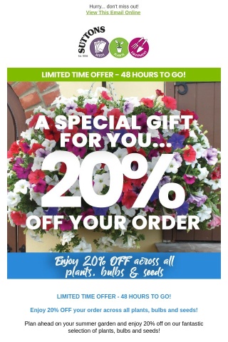 Our Gift to You - 20% OFF - 48 HOURS TO GO!