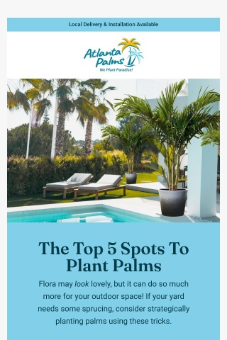 These palms provide privacy