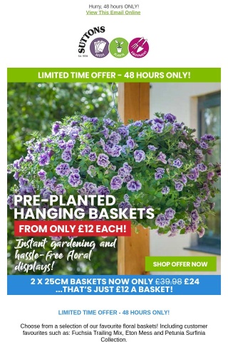 Pre-Planted Hanging Baskets ONLY £12 EACH! 48 HOURS ONLY!