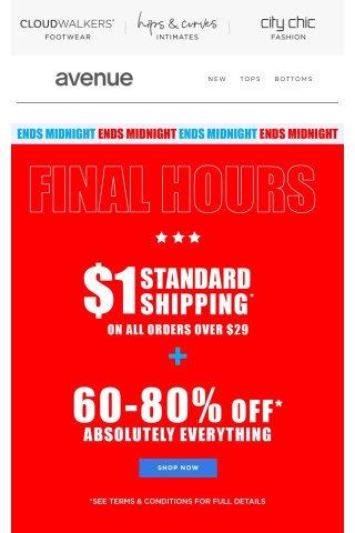 Final 24 Hours ⏰ $1 Shipping* + 60-80% Off* Sitewide
