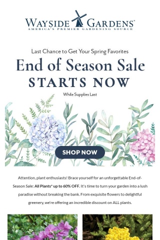 The End of Season SALE Starts Now!