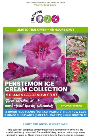 9 Hardy Penstemons NOW £8.97! EMAIL EXCLUSIVE!