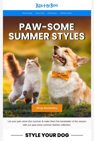 Stylish Summer Adventure for Your Pet! 🌞🐾