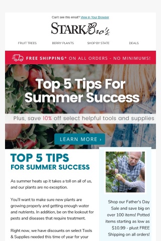 ☀️ Top 5 Tips for Summer Success