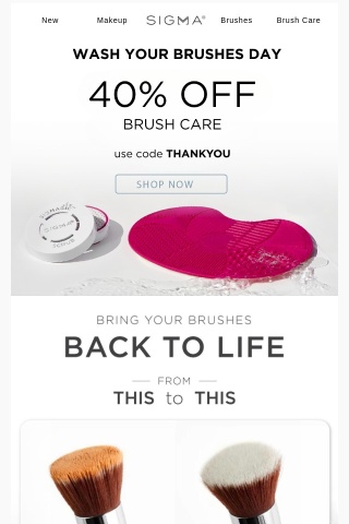Wash Your Brushes Day: 40% OFF ALL Brush Care! 🧼