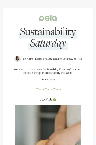 Sustainability Saturday | What is the Eco-Friendliest Option to Wash Your Dishes?