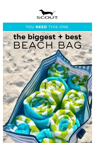 The absolute BEST beach bag 🌊