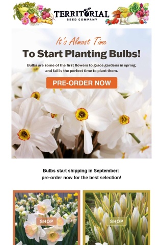 Don’t Miss Out on Fall-Planted Flower Bulbs! 🌷