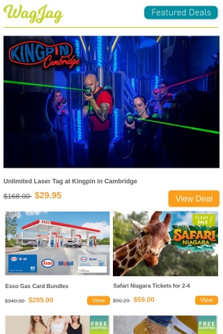 $29.95 for Unlimited Laser Tag at Kingpin