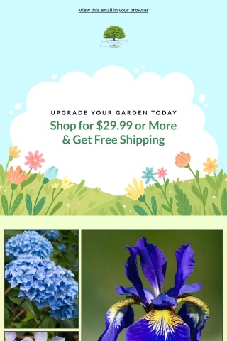 🌳 Free Shipping Alert: Shop Today!