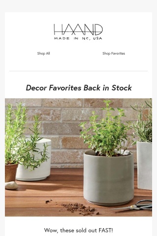 🙊Woo hoo! Décor Seconds are Re-Stocked🙊